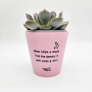 When Life's a Maze - Cheeky Plant Co. Positive Pot - 11cmD x 11cmH