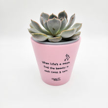 Load image into Gallery viewer, When Life&#39;s a Maze - Cheeky Plant Co. Positive Pot - 11cmD x 11cmH
