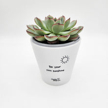 Load image into Gallery viewer, Be Your Own Sunshine - Cheeky Plant Co. Positive Pot - 11cmD x 11cmH
