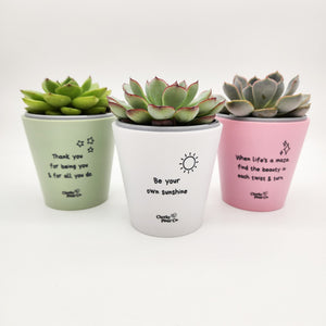 Trio Pack - Positive - Cheeky Plant Co. Pots - 11cmD x 11cmH