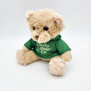 Teddy Bear - Cheeky Plant Co.
