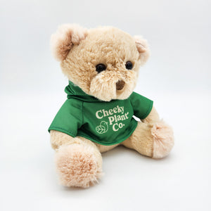 Teddy Bear - Cheeky Plant Co.