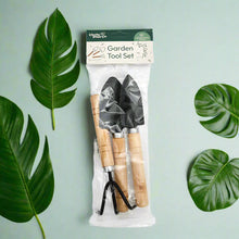 Load image into Gallery viewer, Plant Care Essentials - Succulent Gift Box
