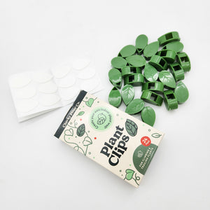 Plant Clips - Pack of 24 - Cheeky Plant Co.