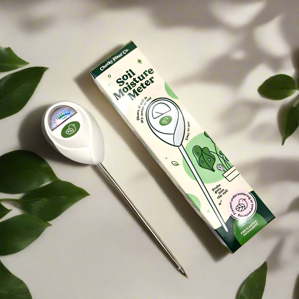 pothos moisture meter Plant Moisture Meter | Soil Moisture Meter for Plants