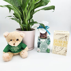 Thinking of You - Peace Lily Plant Gift Hamper - Sydney Only