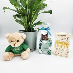 Thinking of You - Peace Lily Plant Gift Hamper - Sydney Only