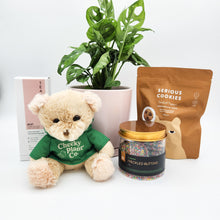Load image into Gallery viewer, Happy Birthday - Assorted Plant Gift Hamper - Sydney Only
