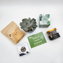 Load image into Gallery viewer, Planty of Love to Go Around - Cheeky Gift Box
