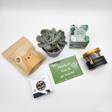 Load image into Gallery viewer, Planty of Love to Go Around - Cheeky Gift Hamper - Sydney Only
