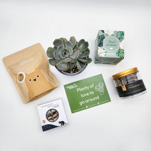 Planty of Love to Go Around - Cheeky Gift Hamper - Sydney Only