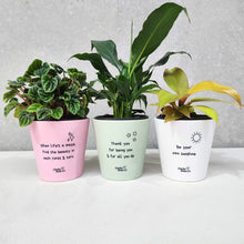 Load image into Gallery viewer, Trio Assorted Indoor Plants in Positive Pots (11cmDx11cmH) - Sydney Only
