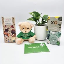 Load image into Gallery viewer, Get Well Soon - Assorted Plant Gift Hamper - Sydney Only
