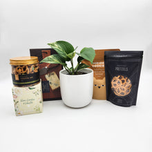 Load image into Gallery viewer, New Home - Plant Gift Hamper - Sydney Only
