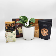 Load image into Gallery viewer, New Home - Plant Gift Hamper - Sydney Only
