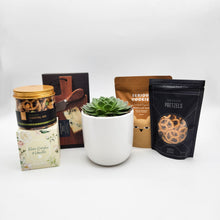 Load image into Gallery viewer, Settlement New Home - Succulent Gift Hamper - Sydney Only
