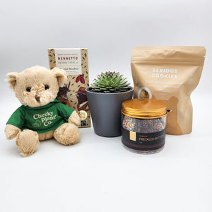 We're Here For You Gift Hamper Box with Succulent