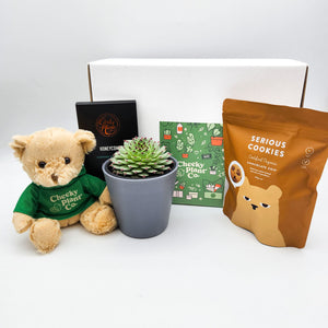 Birthday - Succulent Hamper Gift Box