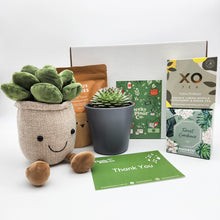 Load image into Gallery viewer, Thank You - Succulent Hamper / Succulent Gift Box
