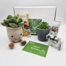 Load image into Gallery viewer, Happy Birthday - Succulent Hamper / Succulent Gift Box
