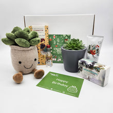 Load image into Gallery viewer, Happy Birthday - Succulent Hamper / Succulent Gift Box
