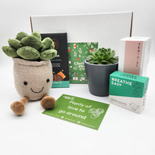 Load image into Gallery viewer, Planty of Love - Succulent Gift Box Hamper
