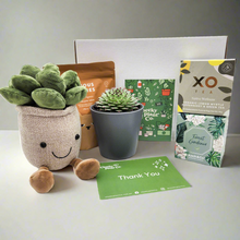 Load image into Gallery viewer, Thank You - Succulent Hamper / Succulent Gift Box
