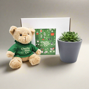 Teddy Bear & Succulent Gift Box