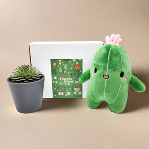 Cheeky Cactus Plushie & Succulent Gift Box