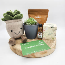 Load image into Gallery viewer, Congratulations - Succulent Hamper / Succulent Gift Box - Sydney Only
