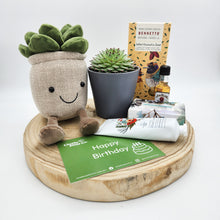 Load image into Gallery viewer, Happy Birthday - Succulent Hamper / Succulent Gift Box - Sydney Only
