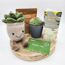 Load image into Gallery viewer, Thank You - Succulent Hamper / Succulent Gift Box - Sydney Only
