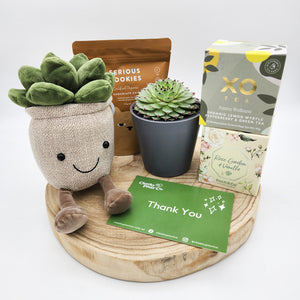 Thank You - Succulent Hamper / Succulent Gift Box - Sydney Only