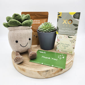 Thank You - Succulent Hamper / Succulent Gift Box - Sydney Only