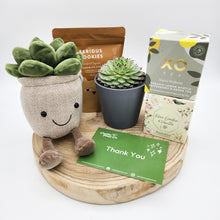 Load image into Gallery viewer, Thank You - Succulent Hamper / Succulent Gift Box - Sydney Only
