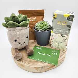 Thank You - Succulent Hamper / Succulent Gift Box - Sydney Only