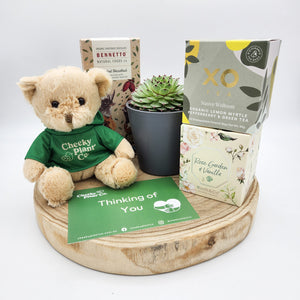 Thinking of You - Succulent Hamper / Succulent Gift Box - Sydney Only