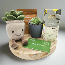 Load image into Gallery viewer, Thank You - Succulent Hamper / Succulent Gift Box - Sydney Only
