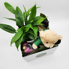 Load image into Gallery viewer, Thinking of You Gift Hamper - Better than Flowers - Sydney Only
