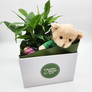 Thinking of You Gift Hamper - Better than Flowers - Sydney Only
