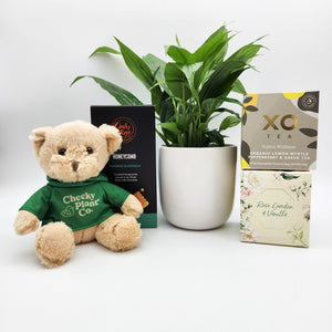 Bereavement/Sympathy/Remembrance - Plant Gift Hamper - Sydney Only