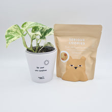 Load image into Gallery viewer, Be Your Own Sunshine - Plant Gift Hamper - Sydney Only
