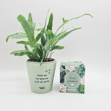 Load image into Gallery viewer, Thank You For All You Do - Plant Gift Hamper - Sydney Only
