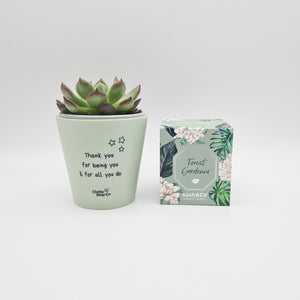Thank You For All You Do - Succulent Gift Box