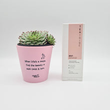 Load image into Gallery viewer, When Life&#39;s A Maze - Succulent Gift Box
