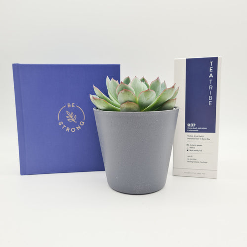 Be Strong - Thinking of You Succulent Gift Box