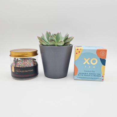 Hooray Birthday - Succulent Gift Box