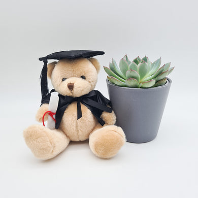 Happy Graduation Bear - Succulent Gift Box