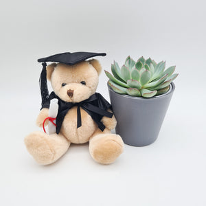 Happy Graduation Bear - Succulent Gift Box