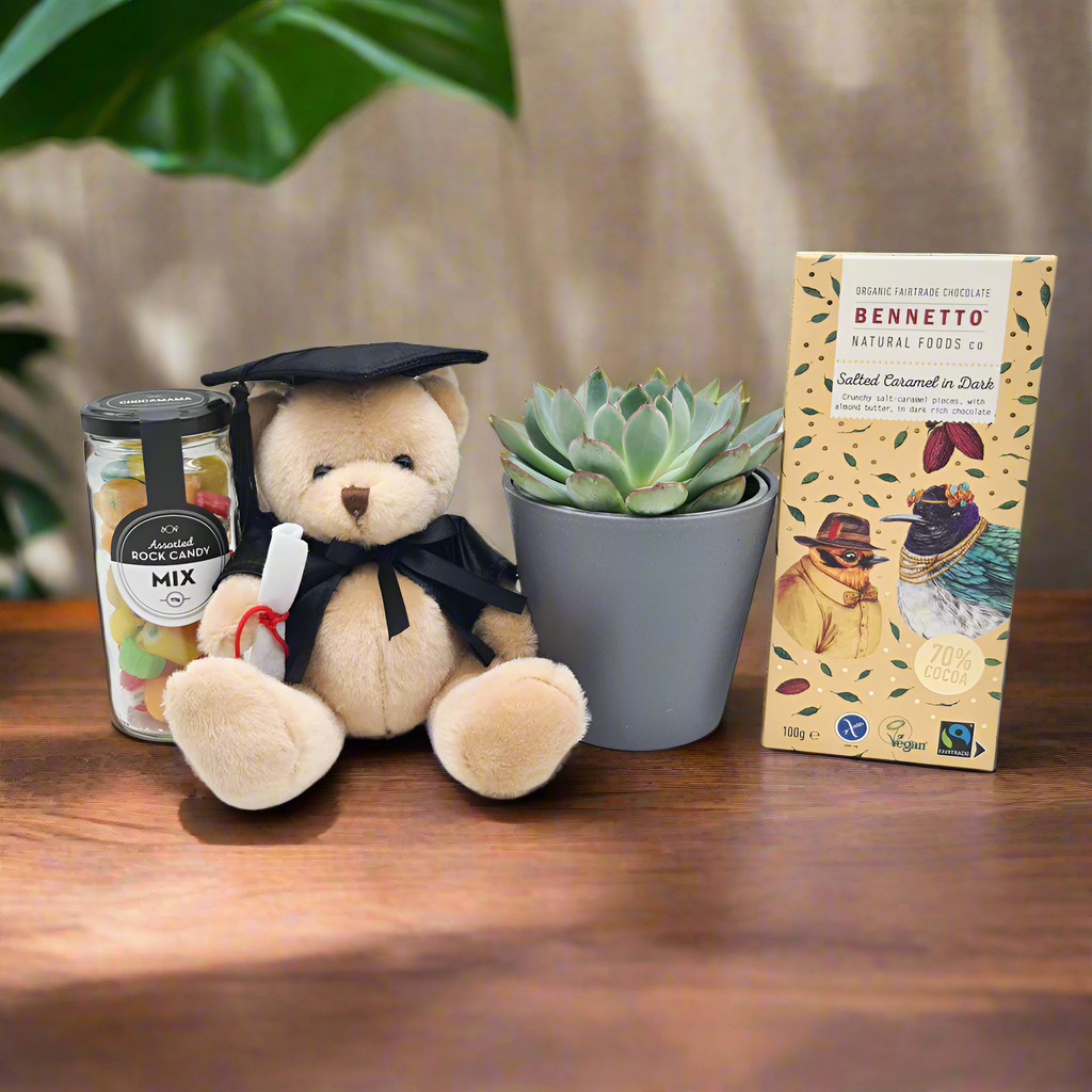 graduation succulents Congrats Graduation Gift Hamper